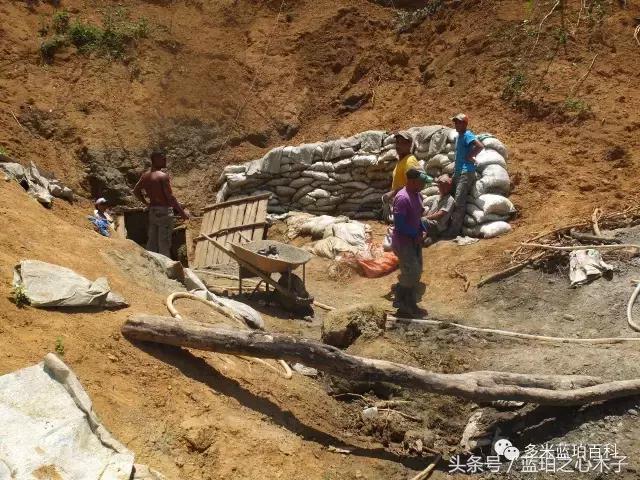 蓝珀买家的8大误区!快来看看你有没有?