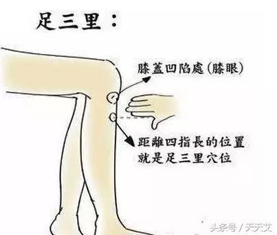 三伏天艾灸最佳穴位下肢,三伏天艾灸补气血穴位