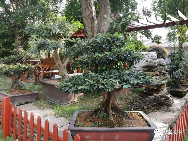 全国网络媒体孝感行:跟着媒体大咖们继续前进,原来咱们孝感的县市区也发展的如此迅速!