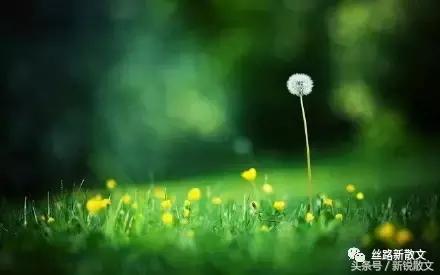 活着也是幸福,活着是最大幸福