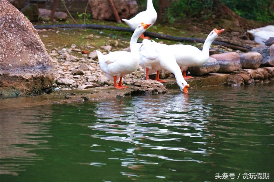 古北水镇吃什么晚餐,古北水镇景区哪里吃饭比较实惠
