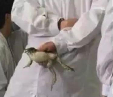 学医的女孩子都比较单纯,学医的女生是不是脾气都很好