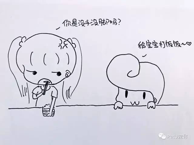 女朋友养狗是一种怎样的体验？