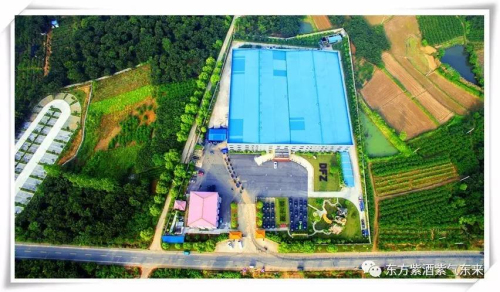 东方紫：醉美紫色·让我们相约！