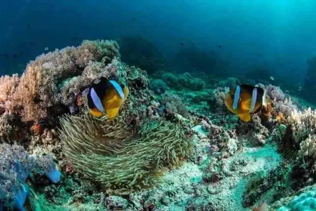 你会选择在南宁和300万人“假装生活”还是和我一起出逃到海岛呢!