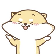 migo杯子,migo水杯保温杯