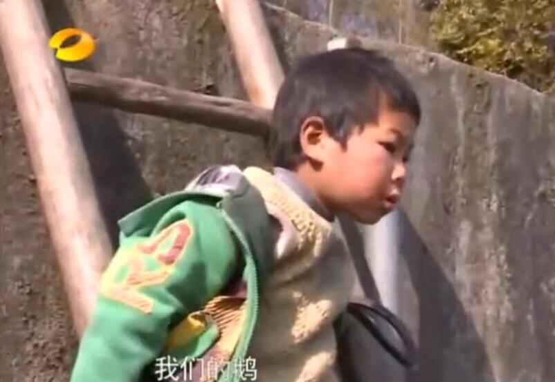 变形计如今的四爷现在怎么样了,变形计四爷主人公