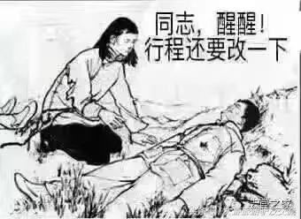 女导游们的½前半生