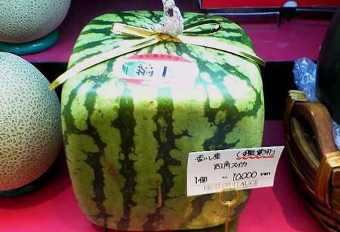 水果千元一个，日本豪华水果大师简直是把钱种在水果上