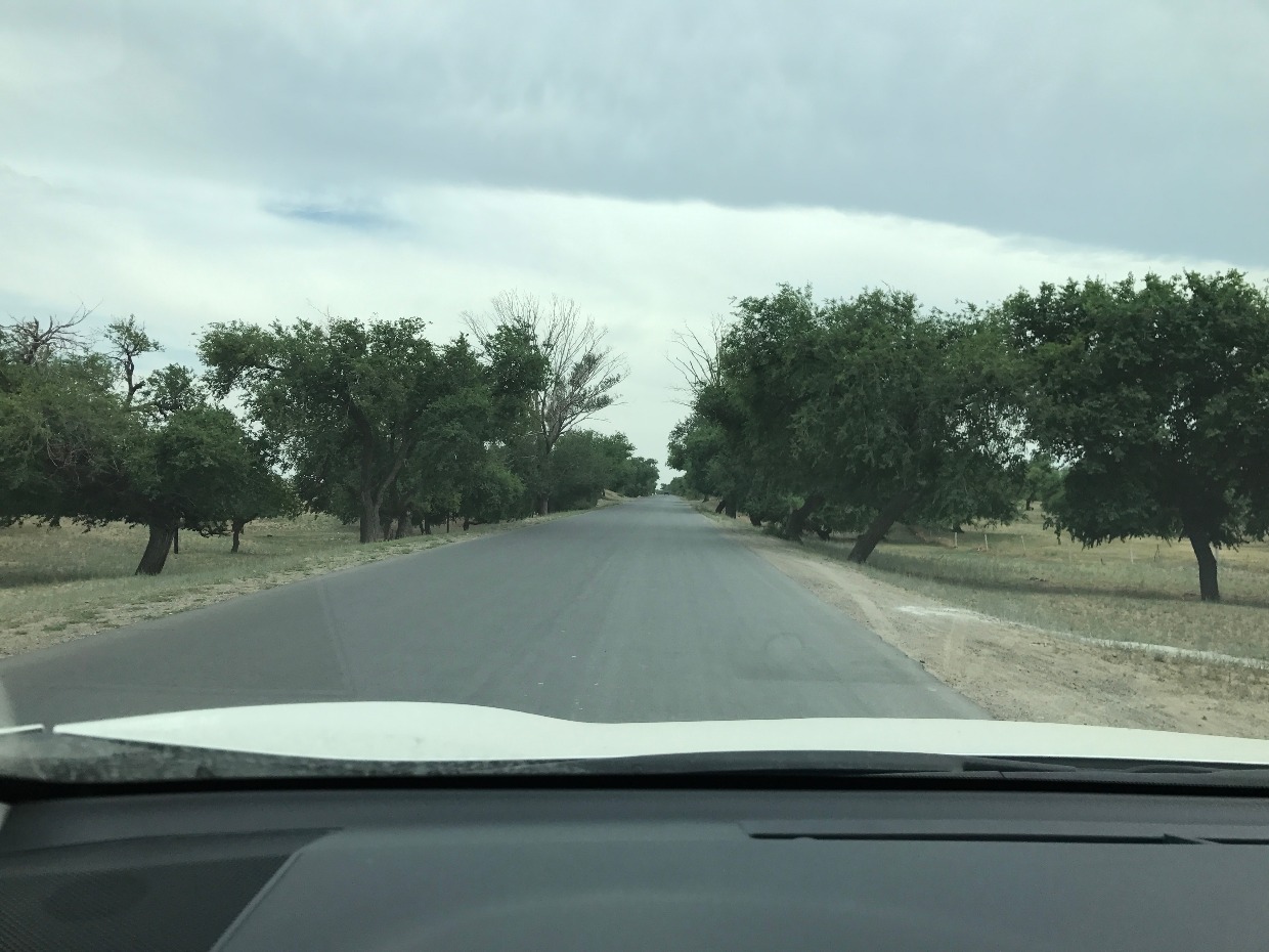 rav4荣放2万公里保养,荣放rav4和crv哪个适合自驾游