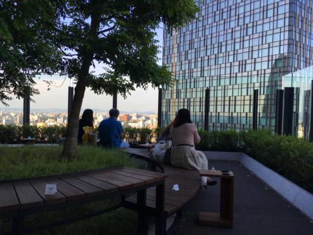 日本升龙道自由行,日本升龙道之旅攻略