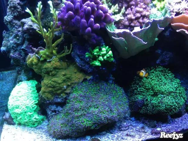 天啊，又是火灾又是炸缸，这可能是最倒霉的鱼友了！