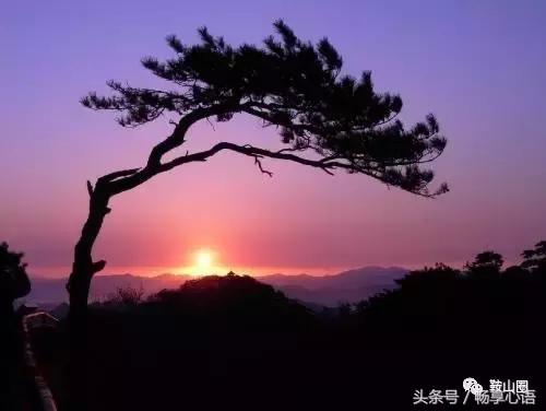 对不起,我要去鞍山了,别再找我了!