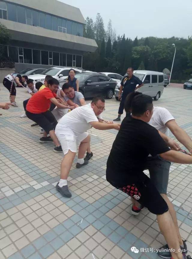 雨琳科技的程序猿们造作了!