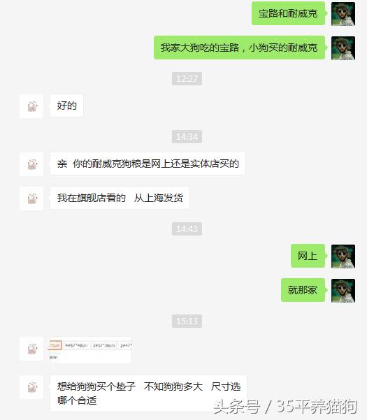 我和我的狗子们:养狗人的心醉幸福二三事儿