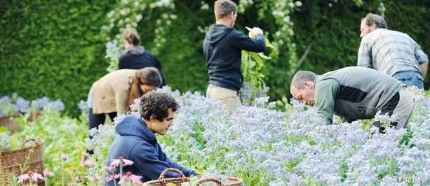 德国德系护肤品,德国世家护肤品