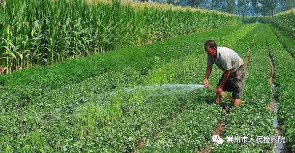 崇检小葵花对“西控”有话说