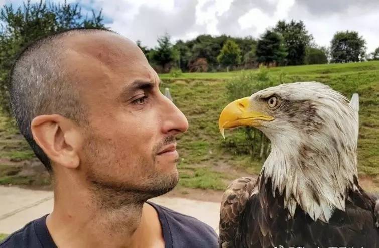 潘帕斯雄鹰掀翻梦之队篮球大师,潘帕斯雄鹰掀翻梦之队