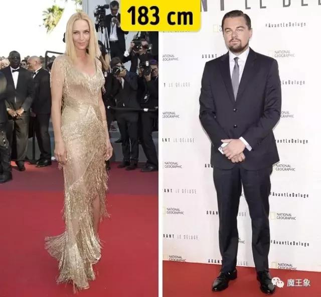 哈利波特角色官方身高,哈利波特人物身高