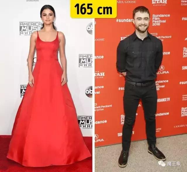 哈利波特角色官方身高,哈利波特人物身高