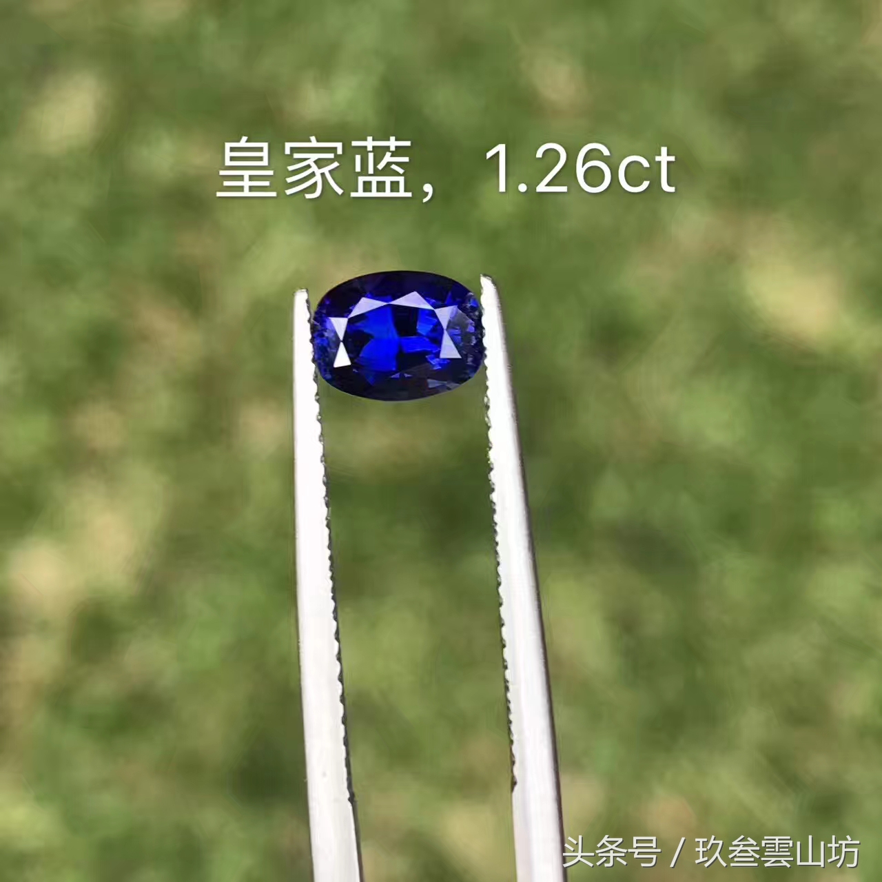 斯里兰卡啥最有名,斯里兰卡有哪些世界之最