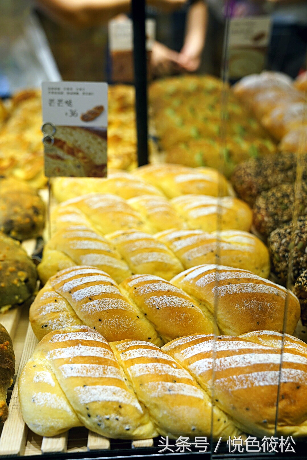 大连全麦面包哪家好吃,原麦山丘的面包为什么那么好吃