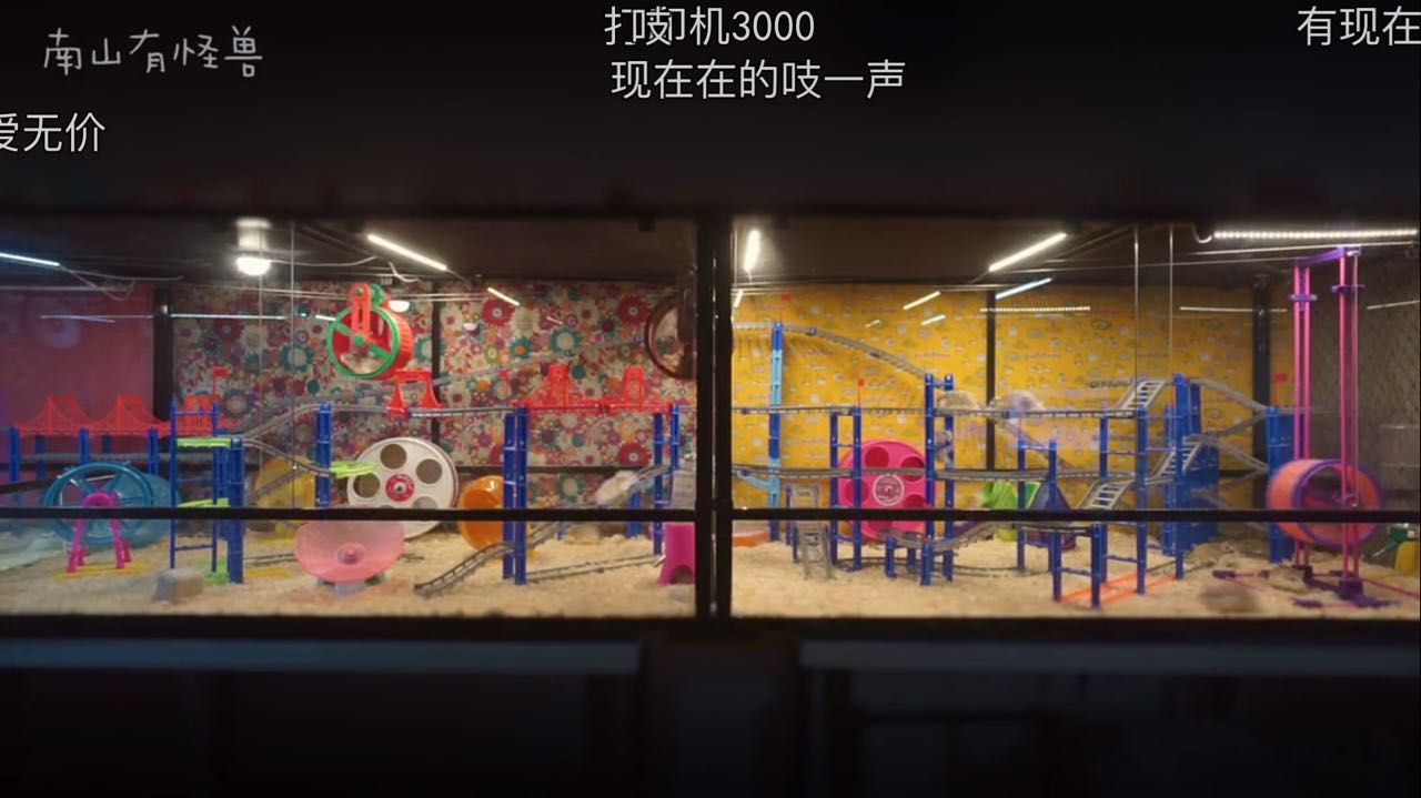 惊喜日三：跟着养仓鼠大神-南山有怪兽，来一起看看高清镜头下仓鼠的小世界是什么样的~