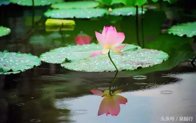 补水效果超级好的清爽水,超舒服的补水方法