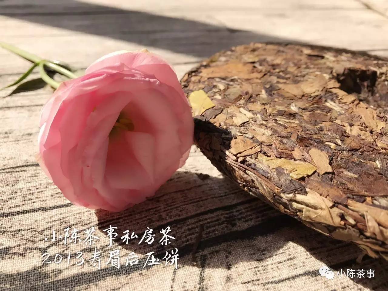 真正的白茶大师是什么样的？