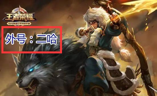 王者荣耀盘点那些笑死人的操作,王者荣耀笑死人不偿命的操作