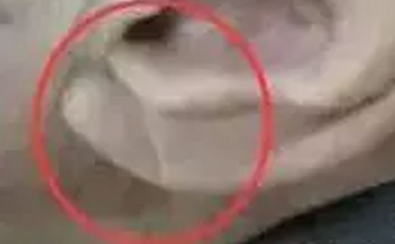 夏季心脏不好的人千万别做三件事,怎么才能养心对心脏好