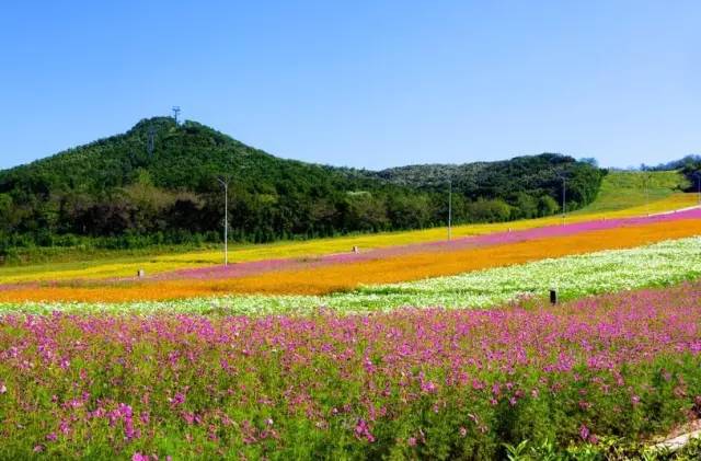 大连牧场旅游景点,大连铭湖牧场附近旅游