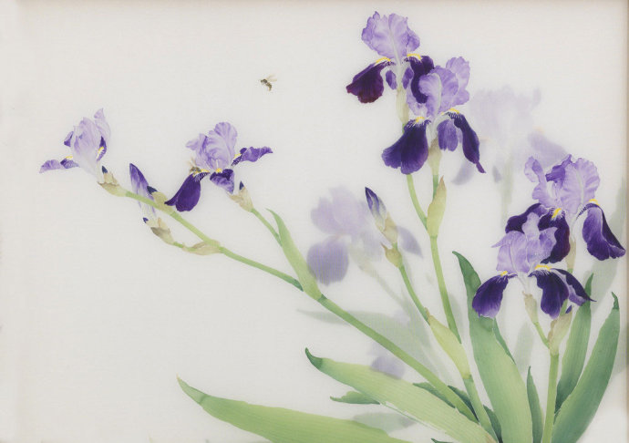 各种常见的花语,一些花的花语