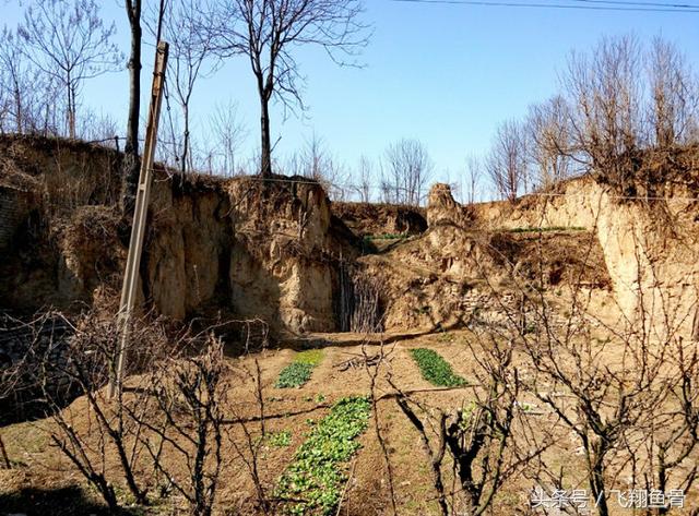 洛阳偃师有几个镇,洛阳偃师简介