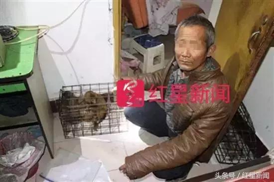 河南新野县耍猿的人,河南新野卖猴子的地方