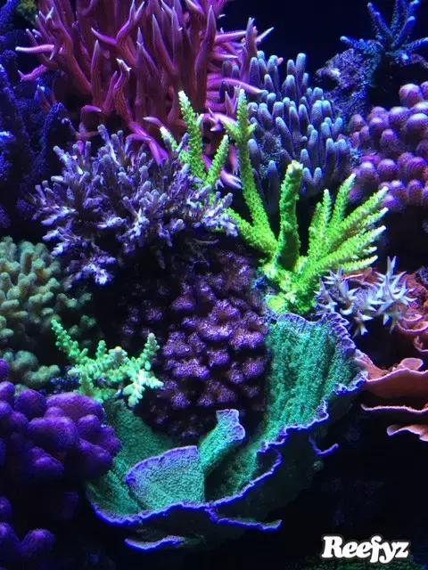 天啊，又是火灾又是炸缸，这可能是最倒霉的鱼友了！