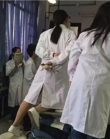 学医的女孩子都比较单纯,学医的女生是不是脾气都很好
