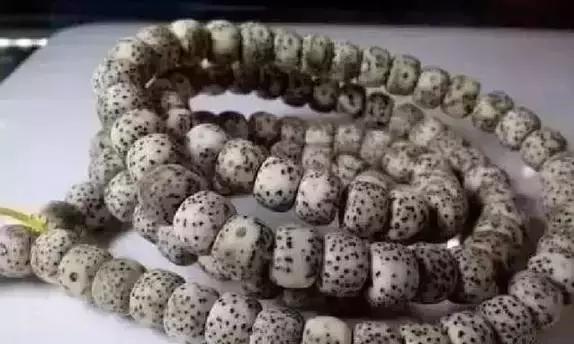 星月入门指南|这几个问题你不懂就糗大了