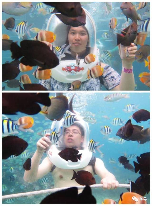 把至亲至爱带到巴厘岛度个假,顺便见证我们南纬8°的浪漫婚礼