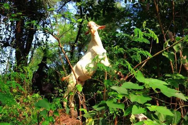 你会选择在南宁和300万人“假装生活”还是和我一起出逃到海岛呢!