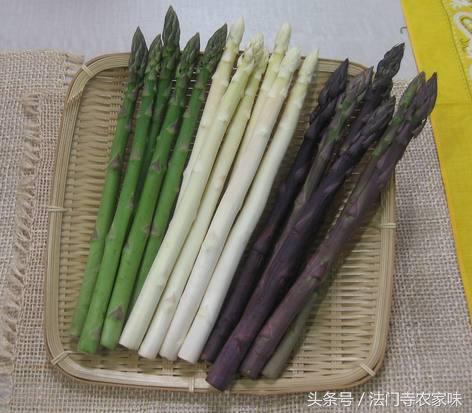 新鲜的芦笋种植技术,芦笋到底为什么被誉为蔬菜之王