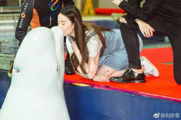 赵薇黄晓明周冬雨中餐厅,赵薇周冬雨高清大图