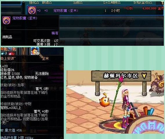 dnf细数拍卖行高性价比宠物，没有宠物是要被鄙视的哟