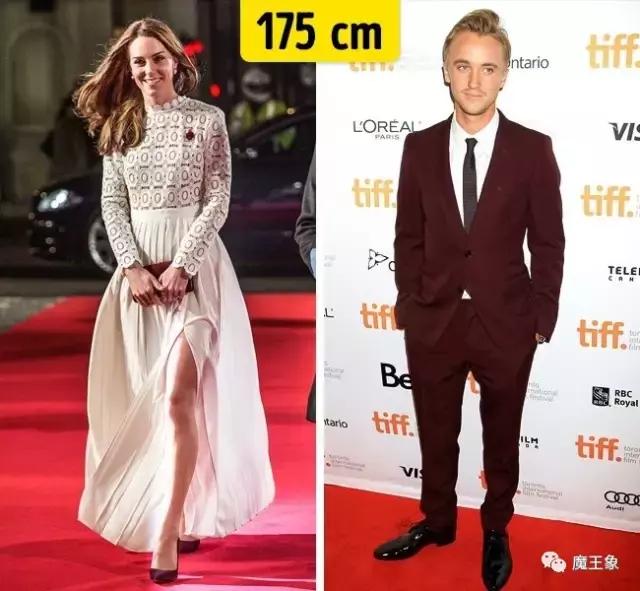 哈利波特角色官方身高,哈利波特人物身高