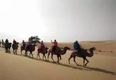 租房车去内蒙古,租房车露营地推荐