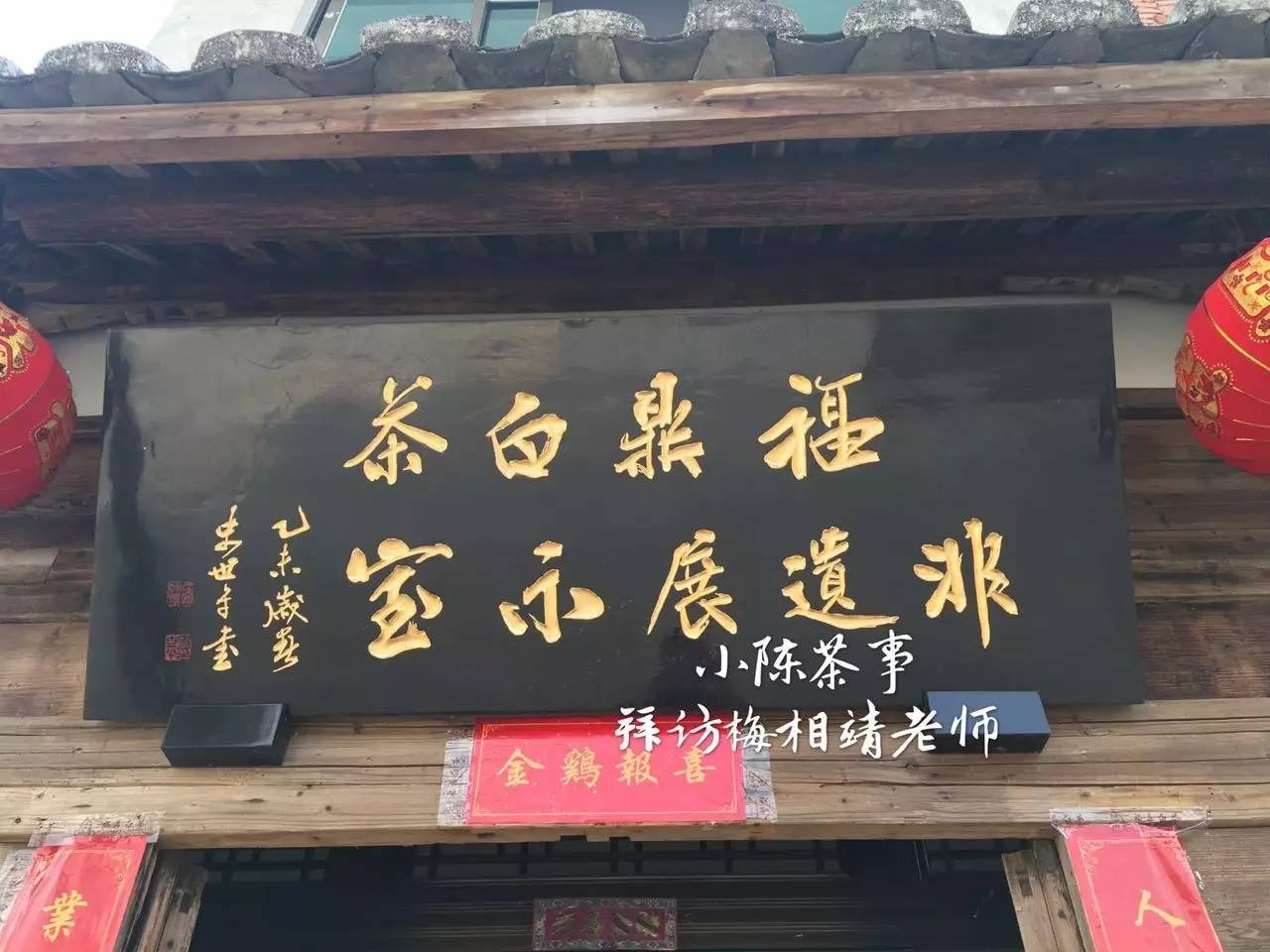 真正的白茶大师是什么样的？