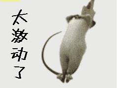 心梗直播间,心梗发病全过程视频