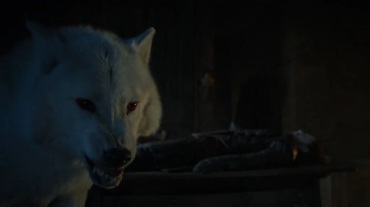 权力的游戏冰原狼是什么品种,权力的游戏史塔克一家都怎么死的