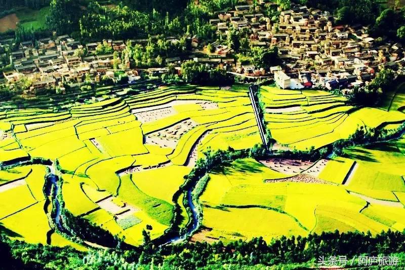 浣犵殑鍚嶅瓧鍗楀崕,浣犵殑鍚嶅瓧鎯呰妭