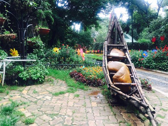 七彩云南有多美,七彩云南的翡翠是不是价格很高